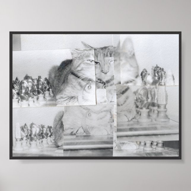 Cat Chess Poster (Front)