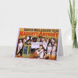 Cat Chorus! - Greeting Card