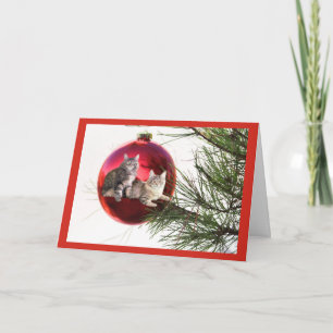 Cat Christmas Card