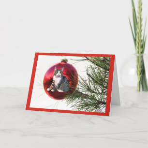 Cat Christmas Card