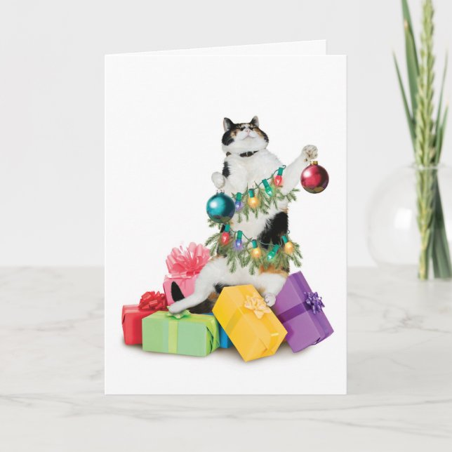 Cat Christmas Card Funny Cute Adorable Best (Front)