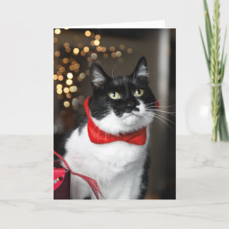Cat Christmas Card - Meowy Christmas
