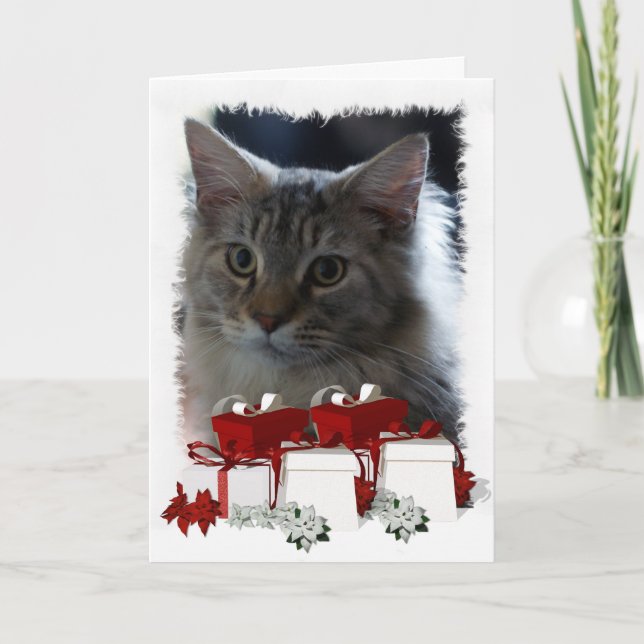 Cat Christmas Card With Maine Coon Kitten (Front)