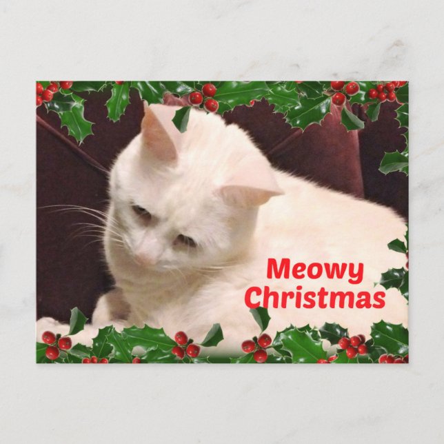 Cat Christmas Greetings Postcard (Front)
