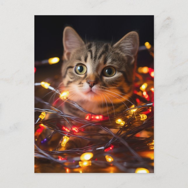 Cat Christmas Lights Postcard (Front)