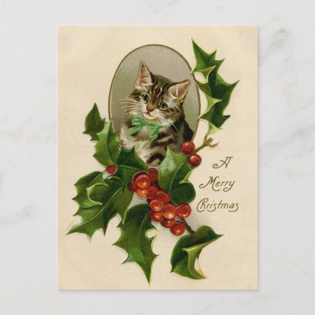 Cat Christmas Merry Holly Kitten Antique Art Postcard (Front)