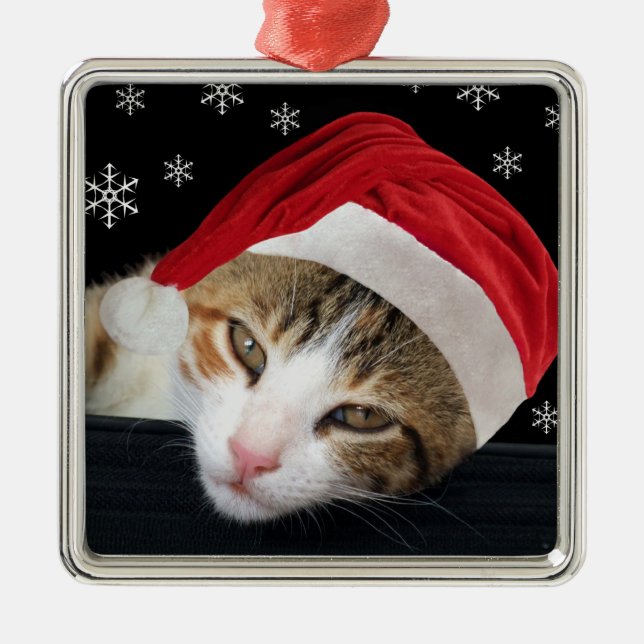 Cat Christmas Ornament (Front)