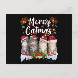 Cat Christmas Santa Hat Funny Merry Catmas Postcard