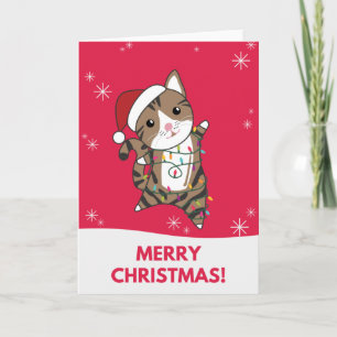 Cat Christmas Snow Winter Animals Cats Card
