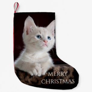 Cat Christmas Stocking. Small Christmas Stocking