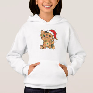 Cat Christmas Winter Animals Cats