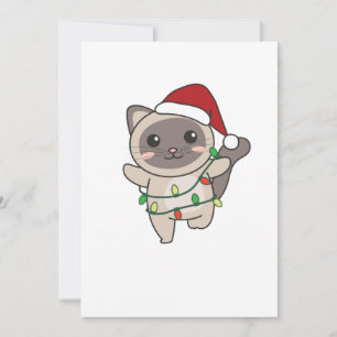 Cat Christmas Winter Animals Cats Holiday Card