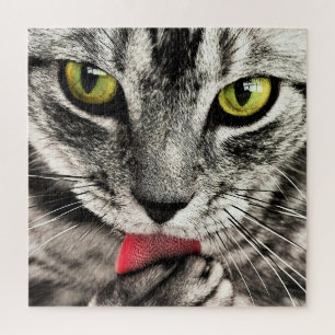 Cat Cleaning - Jigsaw Puzzle