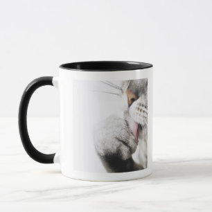 Cat cleaning paw, close-up mug