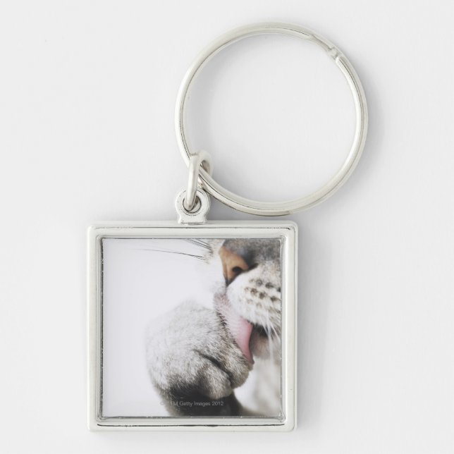 Cat cleaning paw key ring (Front)