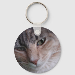 Cat close-up key ring
