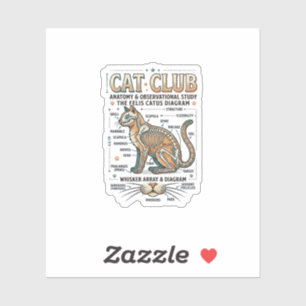 Cat Club Cat Anatomy Scientific Diagram Vintage Ve
