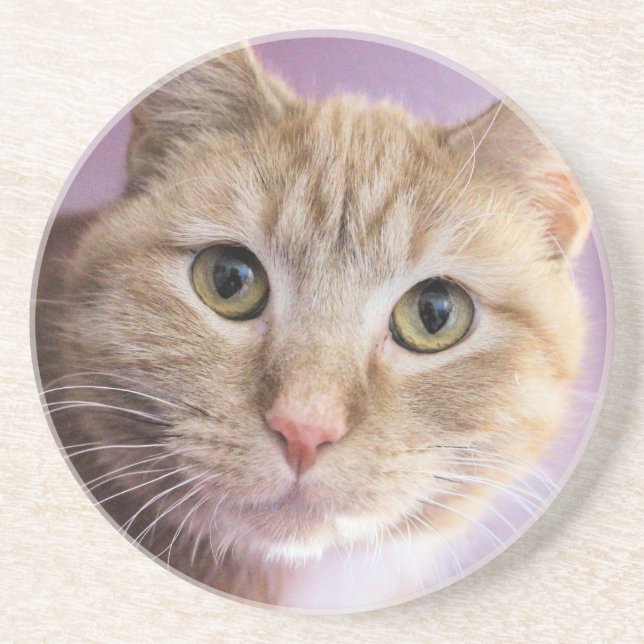 Cat Coaster (Front)