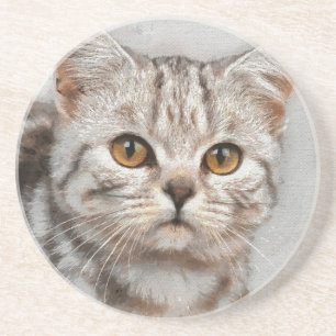 cat coaster