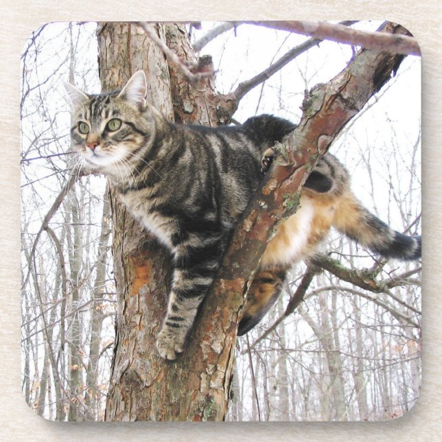 Cat Coaster (Front)