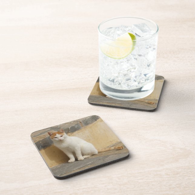 Cat Coasters (Right Side)