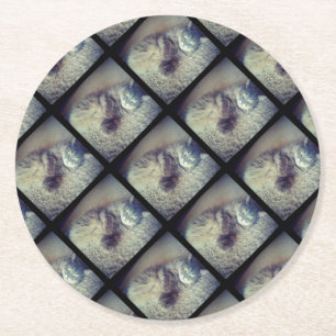 Cat Collage by Shirley Taylor Round Paper Coaster