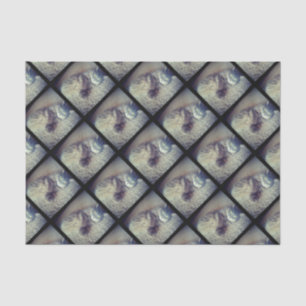 Cat Collage by Shirley Taylor Tissue Paper