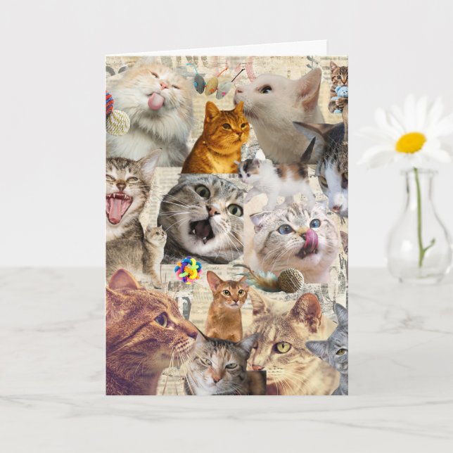 Cat Collage Greeting Card (Small Plant)