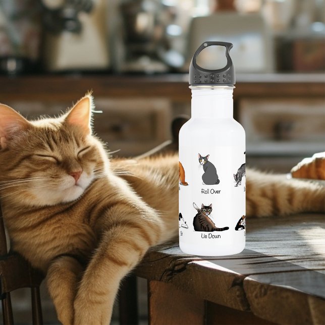 Cat Commands 532 Ml Water Bottle (Creator Uploaded)