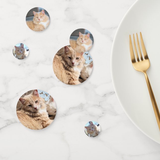 Cat Confetti (Group)