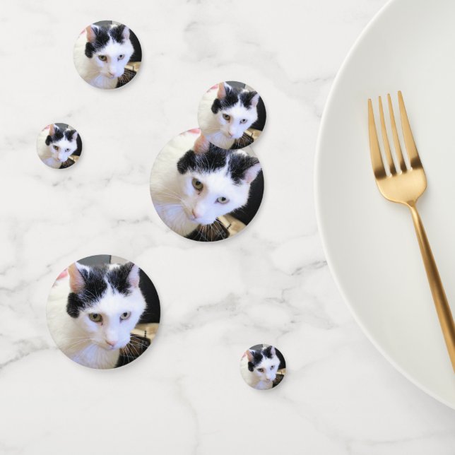 Cat Confetti (Group)