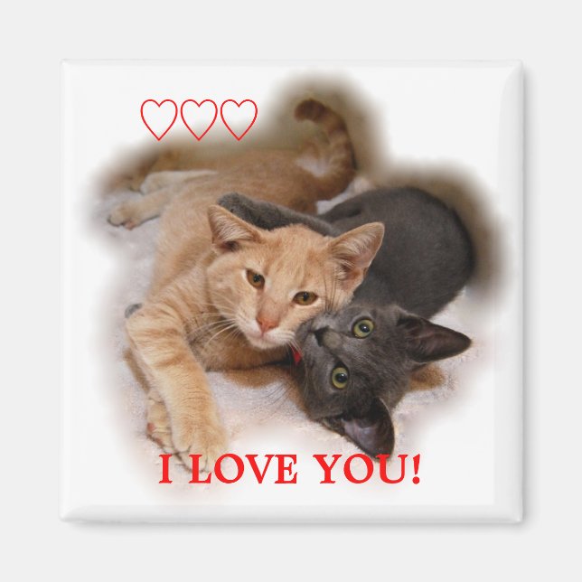Cat Couple I Love You Magnet (Front)