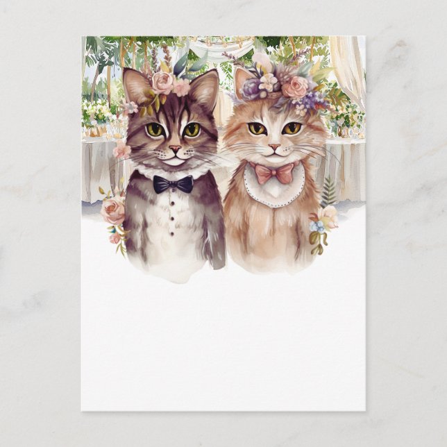 Cat Couple watercolor Postcard (Front)