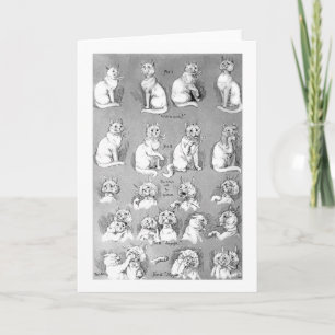 Cat, Courtship & Marriage, Bride, Louis Wain Card