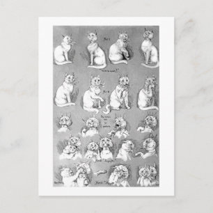 Cat, Courtship & Marriage, Bride, Louis Wain Postcard