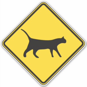 Cat Crossing