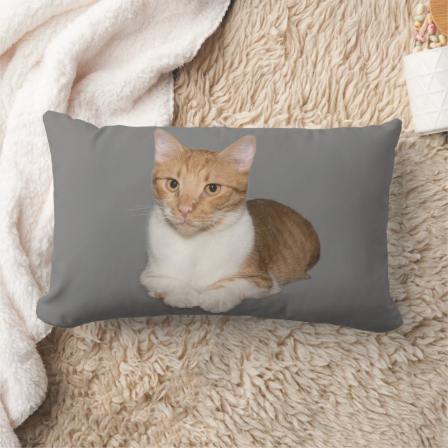 CAT CUDDLE GINGER & WHITE PILLOWS (Blanket)