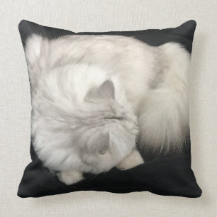 Cat Cuddle Pillow