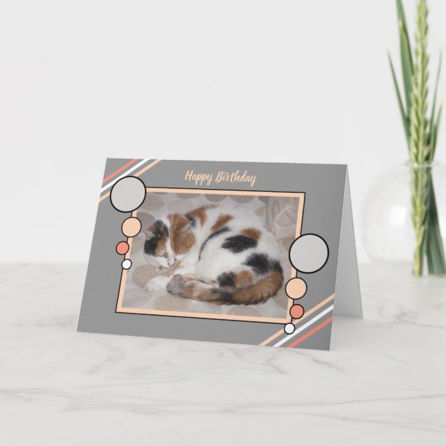 Cat curled up asleep photo coral gray birthday card (Front)