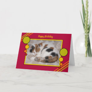 Cat curled up asleep photo red green birthday card