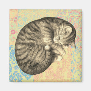 Cat curled up sleeping on quilt cute cosy magnet