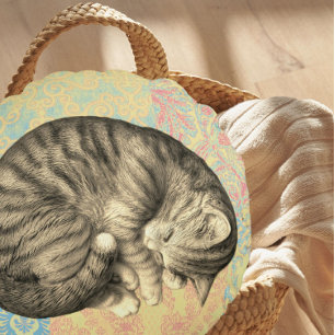 Cat curled up sleeping on quilt cute cosy round cushion