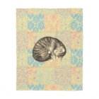 Cat curled up sleeping on quilt cute cozy