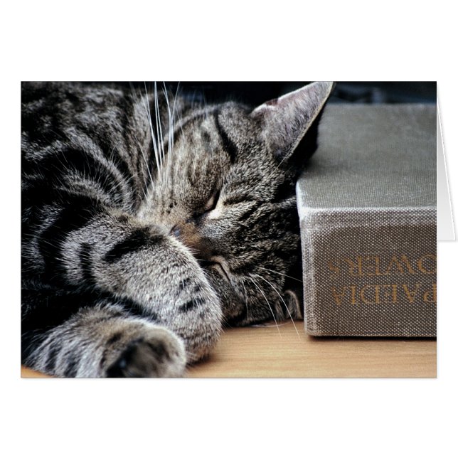 Cat Curled Up with a Good Book Card (Front Horizontal)