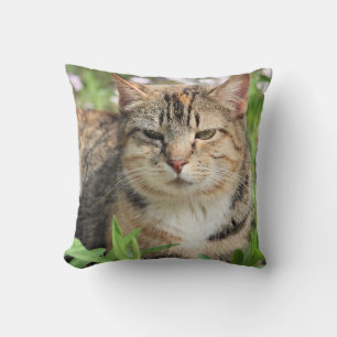 Cat Cushion