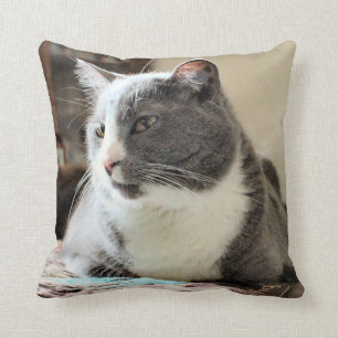 Cat Cushion