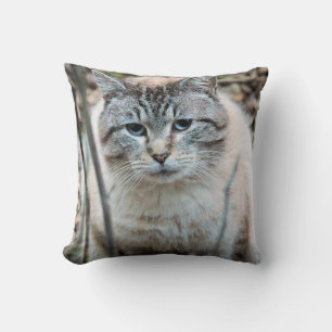 Cat Cushion