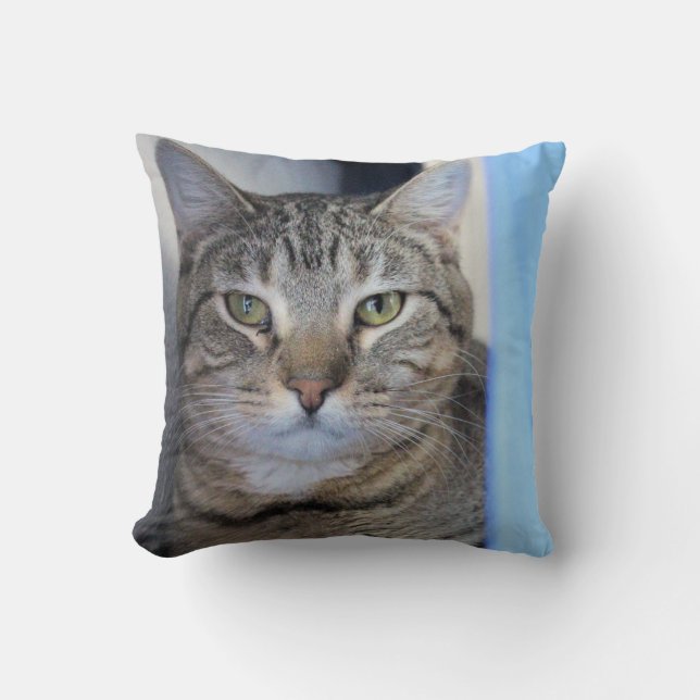 Cat Cushion (Front)