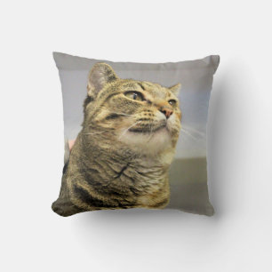 Cat Cushion