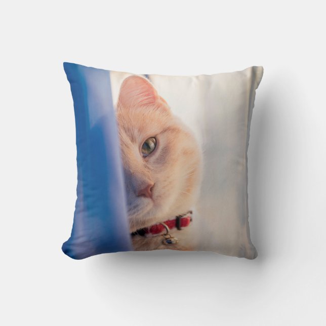 Cat  cushion (Front)